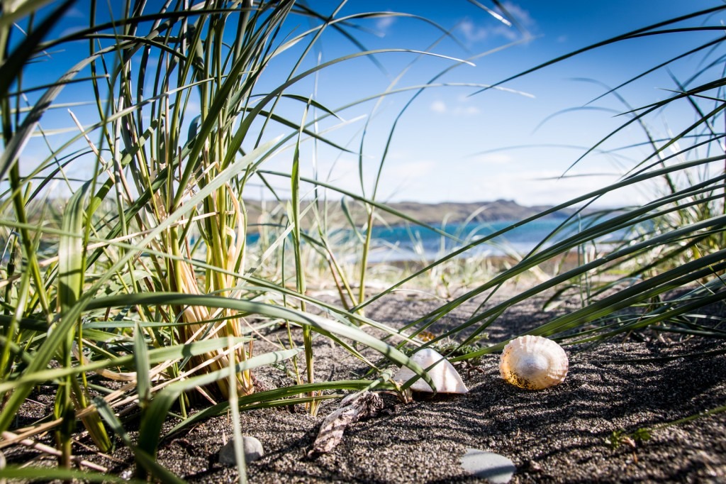 scotland-140523-181855