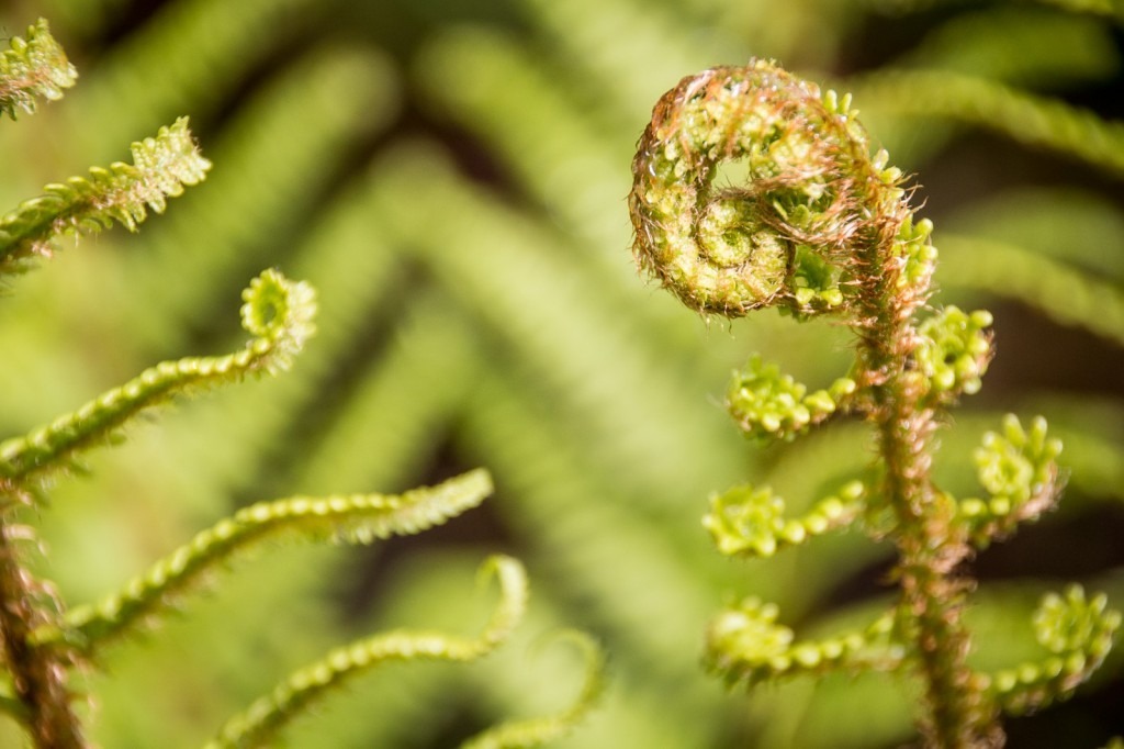 scotland-140528-105016