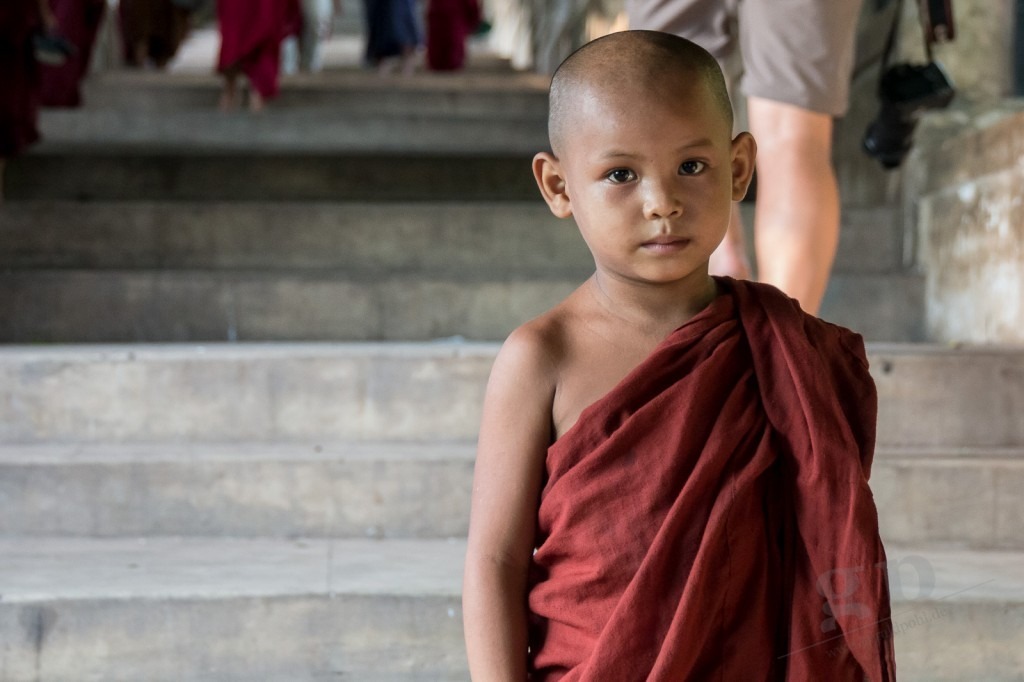 Hallo kleiner Mönch