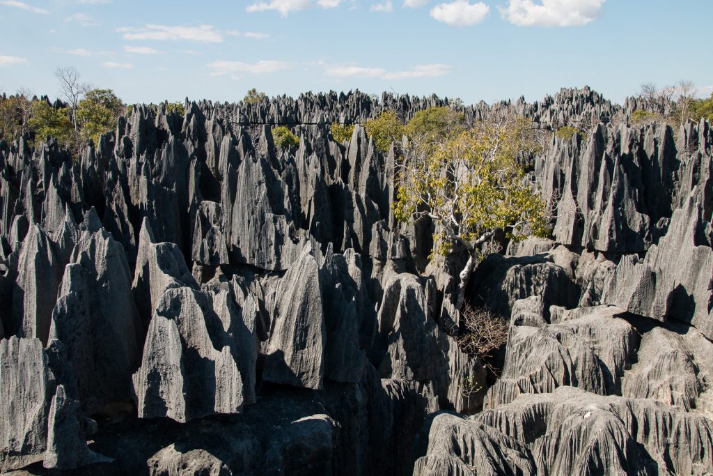 Madagascar_0703-120025