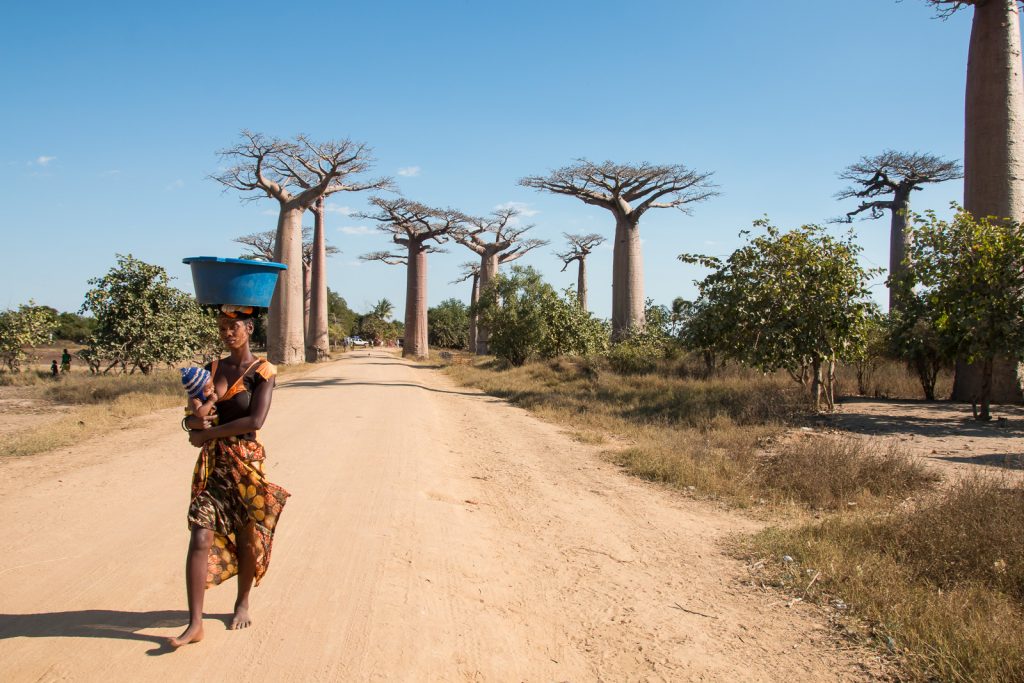 Madagascar_0705-144840