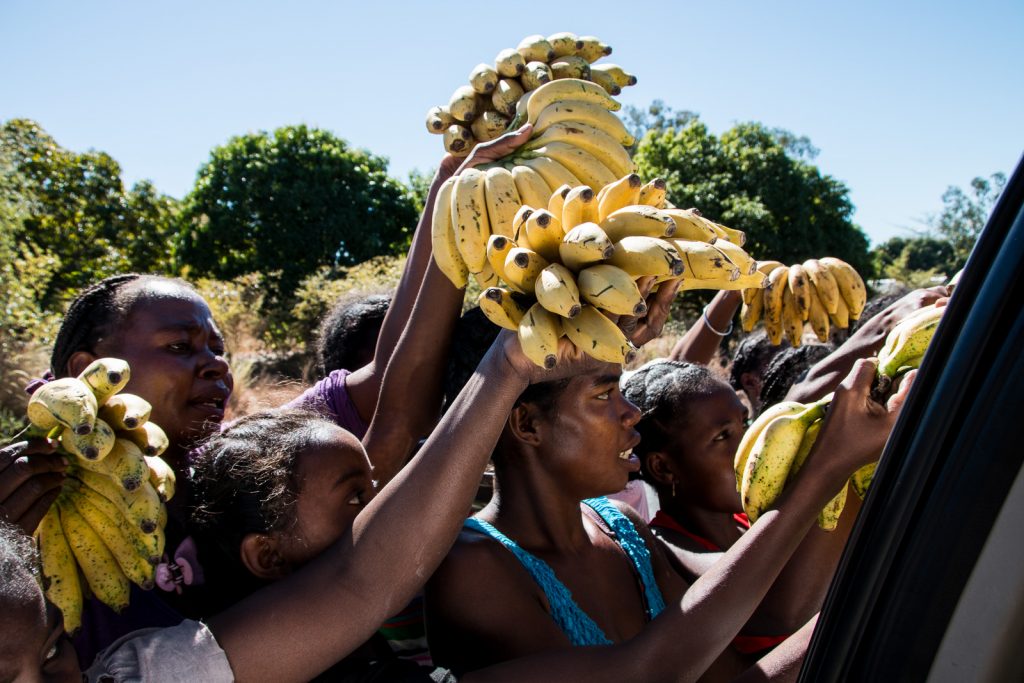 Madagascar_0706-112549