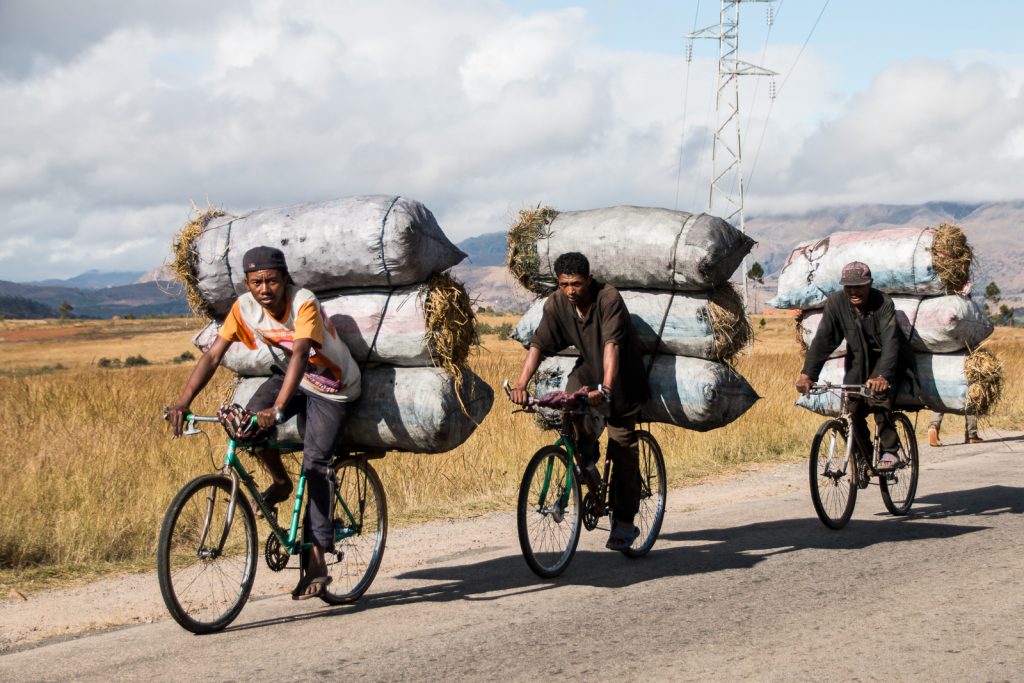 madagascar_0707-091647