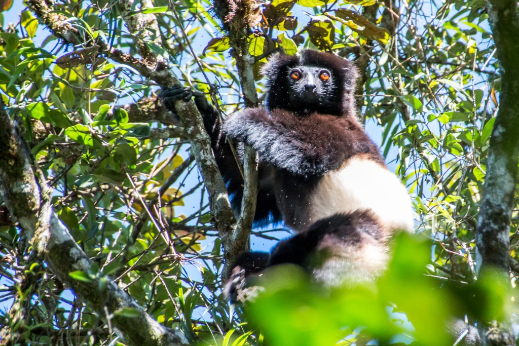 madagascar_0708-112103-2