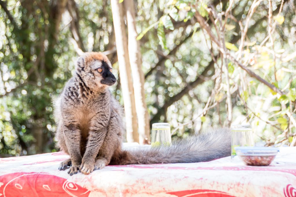 madagascar_0712-114748